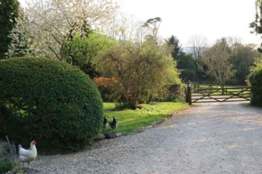 Stunning Stone Cottage On Bath'S Doorstep Box  Exterior foto